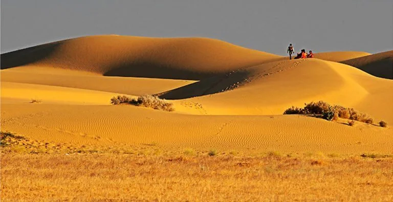 sam sand dunes jaisalmer