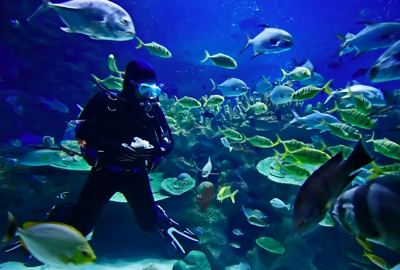 scuba-diving
