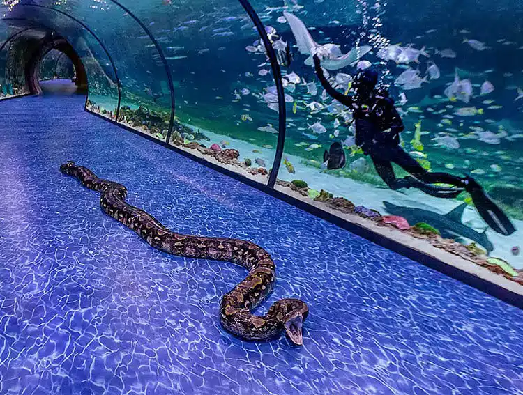 National Aquarium Abu Dhabi