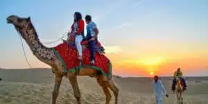 Winters in rajasthan