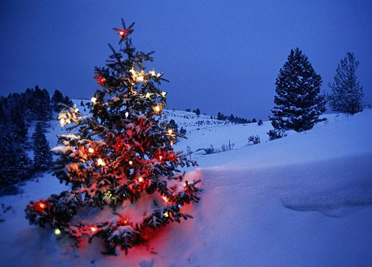 Shimla Christmas 2022