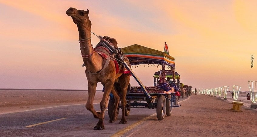 rann of kutch camel safari rann utsav