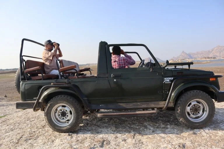 jawai jungle safari