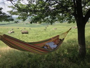 summer vacation