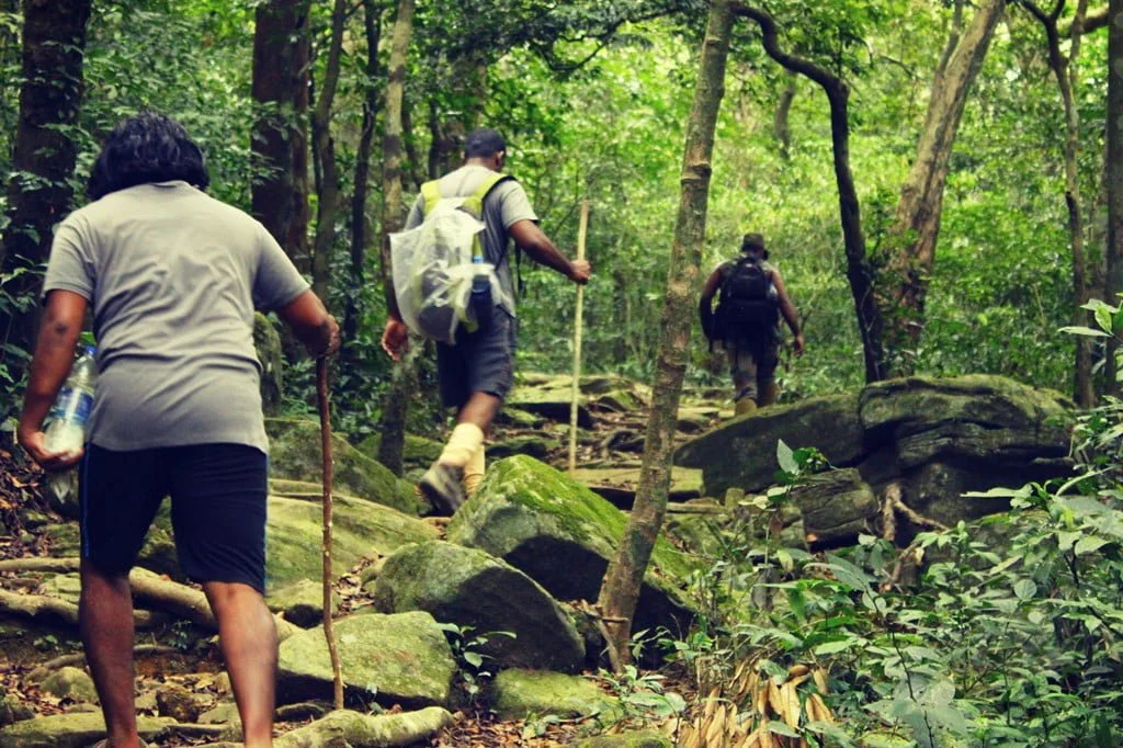 Agasthyakoodam trek travel