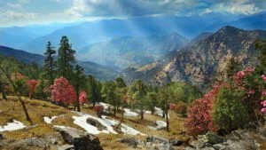 Nag tibba trek
