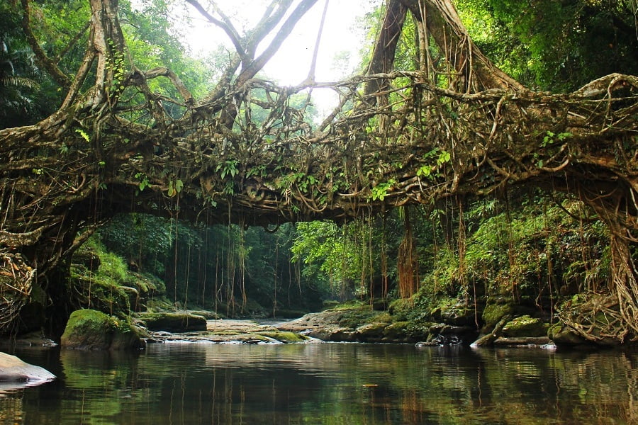 Mawlynnong Meghalaya Eco-tourism